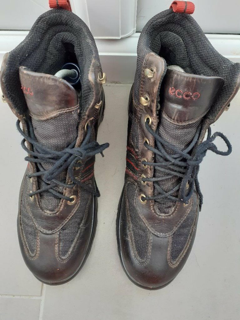 ecco ladies hiking boots